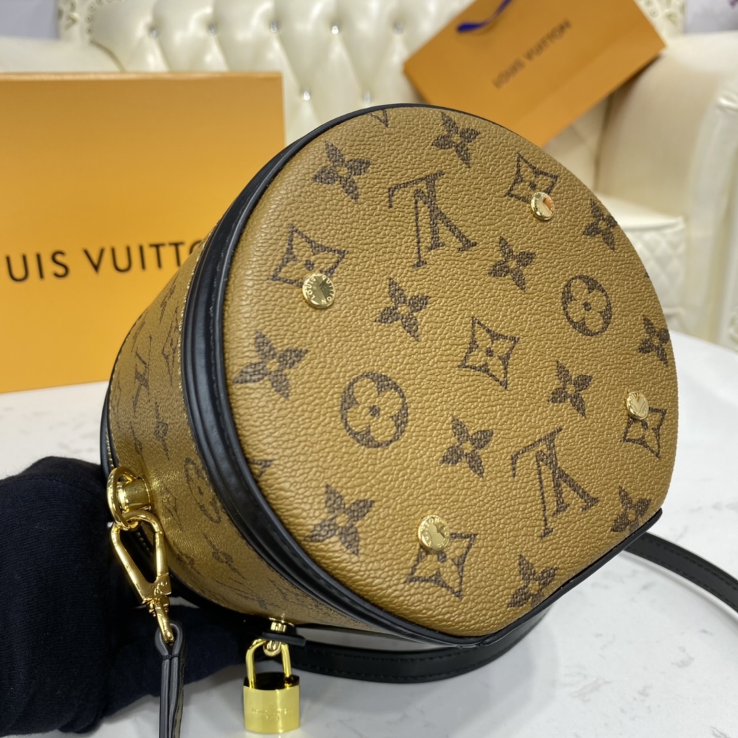 Louis Vuitton CANNES Monogram Case Handbag M43986 